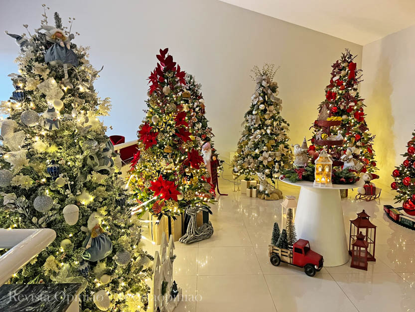 Tree Story: criatividade e sensibilidade na montagem de árvores de Natal  para locação – Revista Opinião